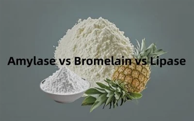 Konprann Amylase, Bromelain, ak Lipase